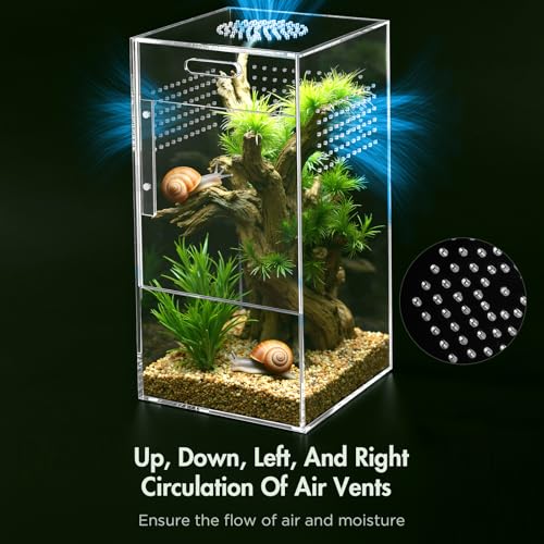 Pre-Assembled Jumping Spider Enclosure, All-Side Ventilation | 5"×5"×10" Escape-Proof Acrylic Habitat Terrarium with Magnetic Door for Jumping Spider, Tarantula, Praying Mantis, Snail - size: Large Vertical (5"×5"×10")