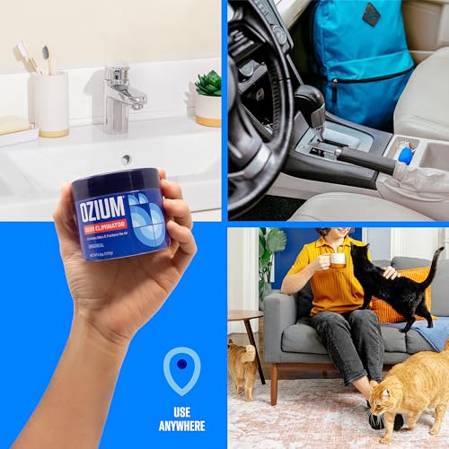 Ozium 8 Oz. Odor Eliminating Gel, Air Freshener Alternative | For Homes, Cars, Offices and More, 6 Pack - size: 1 Count (Pack of 6)