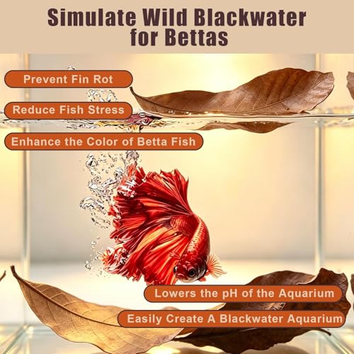120PCS Dry Longan Leaf Litter for Reptile,Natural Turtle Longan Leaf Litter,Isopod Live Leave Terrarium Substrate Bedding,Tortoise Tank Leaves Decor for Snake,Gecko,Spider,Betta Fish (120PCS)