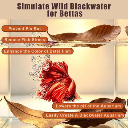 120PCS Dry Longan Leaf Litter for Reptile,Natural Turtle Longan Leaf Litter,Isopod Live Leave Terrarium Substrate Bedding,Tortoise Tank Leaves Decor for Snake,Gecko,Spider,Betta Fish (120PCS)