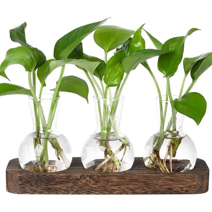 YIBOT Plant Propagation Station, Desktop Glass 3 Bulb Vase Brown Wood Tray | Planter Hoder Terrarium,Hydroponic Flower Cuttings Jars, No Assembly, Easy Water Refill, Home Office Decor, Lover Gift Idea - size: 3 Vase-T