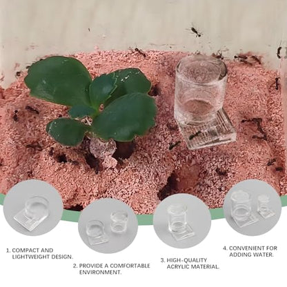 2pcs Mini Ant Water Feeder - Transparent Liquid Feeding Bowls for Ant Farms Small Reptiles Ideal Insect Drinking Tools