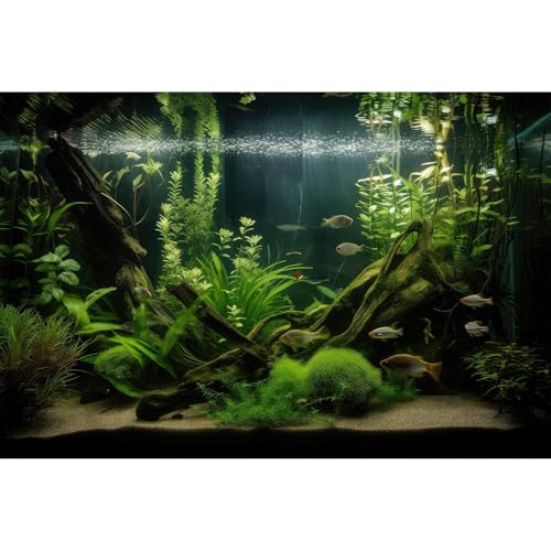 Aquarium Background Diverse Aquatic Plants and Seagrasses Terrarium Background Redwood Root Lush Green Underwater Plants Moss Fish Tank Background Under The Sea Aquarium Backdrop Vinyl 24x12in - color: Moss Green, size: 24(W)x12(H)inches/ 60(W)*30cm(H)