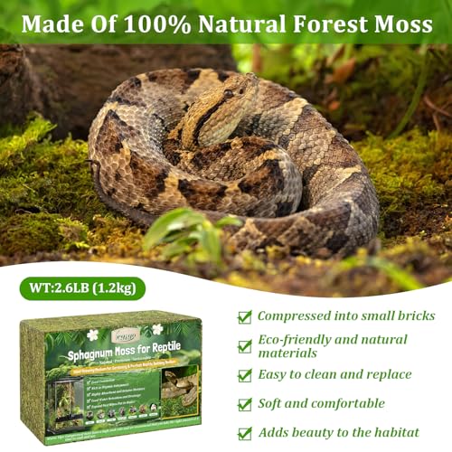 2.6LB Natural Sphagnum Moss for Reptile Terrarium Substrate Bedding | 48QT High Expansion, Moisture Retention, Helps Shedding, Long Fibers Dried Moss for Leopard Gecko, Snake, Frog, Turtle - size: 2.6LB