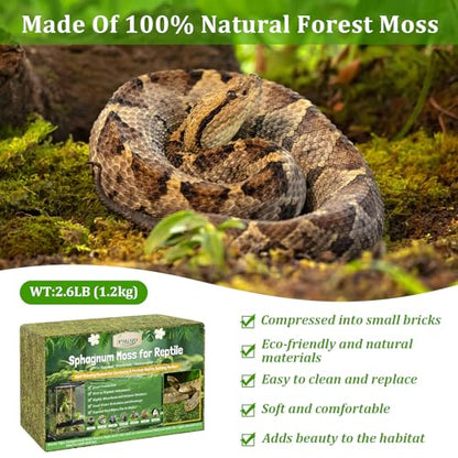 2.6LB Natural Sphagnum Moss for Reptile Terrarium Substrate Bedding | 48QT High Expansion, Moisture Retention, Helps Shedding, Long Fibers Dried Moss for Leopard Gecko, Snake, Frog, Turtle - size: 2.6LB