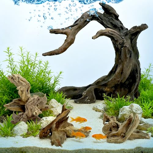 Aquarium Driftwood Decor Set - 1 Anubias Resin Model & 3Pcs Small Natural Driftwood 2-4 inch for Aquascaping, Fish Tank Landscape Design