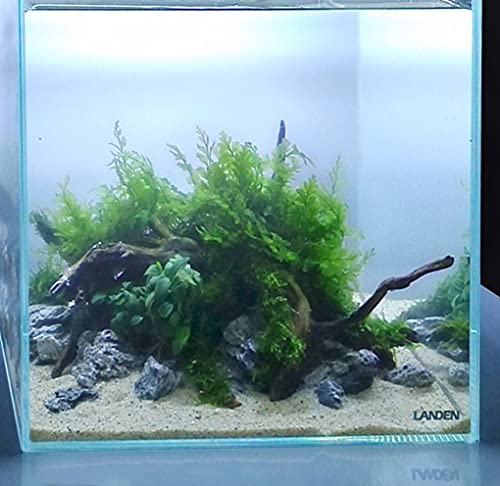 Namale Aquarium Sand Fine Natural River Substrate 2L Planted Tank | Freshwater and blackwater biotope, planted tank - size: M,2Lx1pk