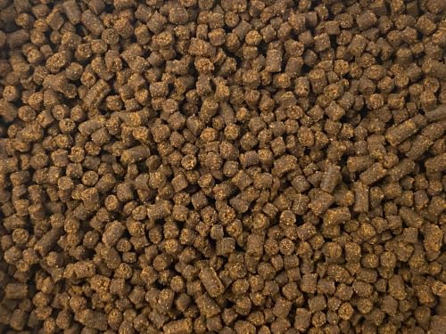 Juvenile Axolotl Soft Food PELLETS 2.4mm,Salamander,Frog,Newts,A282 (1oz - Sample) - size: 1 Ounce (Pack of 1)