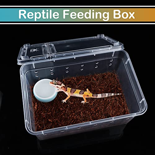5 Pcs Spider Small Terrariums Breeding Box Transparent Hatching Container Plastic Feeding Box for Small Reptile Spider Scorpion Centipede Insect