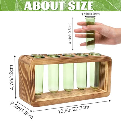 Glass Plant Propagation Station with 5 Test Tubes Colorful Planter Vase | Birthday Gifts for Women in Wooden Stand - color: Green