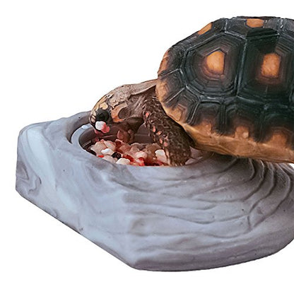 Healthy Herp Tortoise Food Instant Meal for Reptiles - Nutritious Turtle Food, Tortoise Habitat Accessories - Made in USA - for Box Turtles, Lizards, Tortoises - Variety Pack (14 Cups & 1 Dish) - size: 0.4 Ounce (Pack of 7), style: 14-Pack Cups