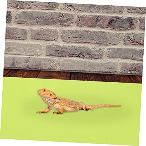 2pcs Reptile Tank Lizard Accessories Mat Substrate Liner for Bearded Dragon Reptile Carpet Mat for 10 Gallon Terrarium
