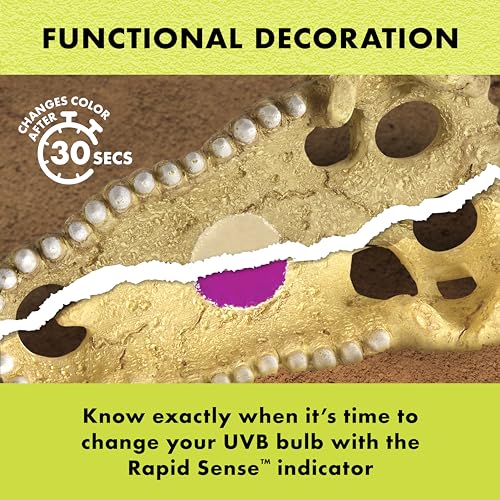 Zilla Rapid Sense UV Detecting Pet Reptile Terrarium Décor, Detects UVB Levels, Crocodile Skull, Medium - size: Medium