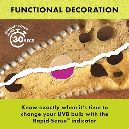 Zilla Rapid Sense UV Detecting Pet Reptile Terrarium Décor, Detects UVB Levels, Crocodile Skull, Medium - size: Medium