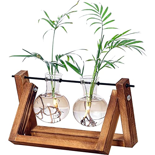 Kingbuy Glass Desktop Planter with Retro Wooden Stand, 2 Bulbs | Plant Terrarium Vase, Indoor Office Desk Decor, Accessories - size: 2 Bulb Vase