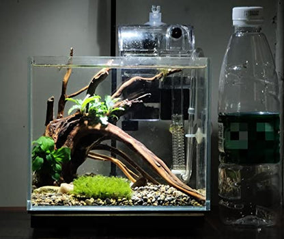 AWXZOM Small Nano Rimless Tank, Clear Glass Fish Tank, 1.1 Gallon, 7.8x5.5x5.9inch/20x14x15cm, Betta Fish Tank - size: 1.1Gallon 7.8x5.5x5.9inch/20x14x15cm