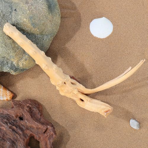 BESPORTBLE 1Pcs Natural Aquarium Driftwood : Spider Wood Branch - Reptile Tank Decor Accessories for Fish Bearded Dragon Turtle Terrarium 5.9In, Gift for Pet Lovers
