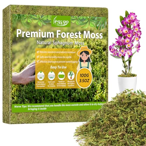 4QT Sphagnum Moss for Plants, 3.5OZ Natural Long Fiber Orchid Moss | Drainage & Moisture Retention, Green Plant Moss for Orchid Repotting, Carnivorous, Succulents, Reptile Bedding & Terrariums - size: 3.5OZ