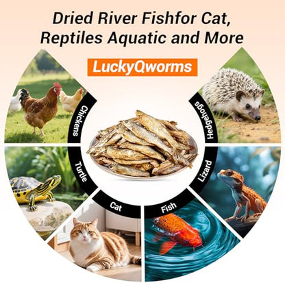 Dried Freshwater Fish, 1 Lbs Resealable Bag - Natural High-Protein Food for Turtles, Reptiles, Large Tropical Fish, Cats, Small Pets and Chicken - Crude Protein 30% Min
