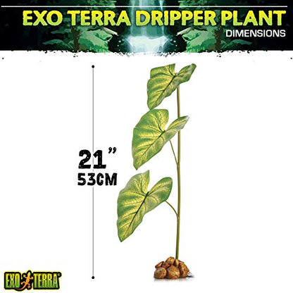 Exo Terra Dripper Plant, Large - size: Large