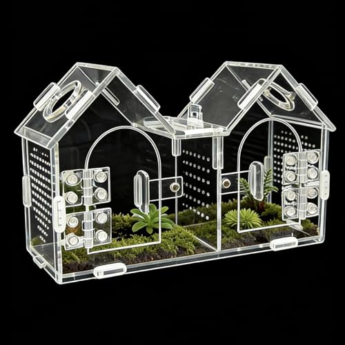 Jumping Spider Enclosure, Acrylic Terrarium with Partition Divider (1-2 Compartments), Dual Magnetic Doors & All-Side Ventilation, Jumping Spiders, Tarantulas, Mantis, GeckosHabitat, 9.6x4.2x5.8