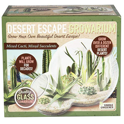 Grow Your Own Desert Escape in A Quality Glass Terrarium Starter Kit with Complete Supplies - Easy to Maintain Indoor Cacti and Succulents - Over A Dozen Desert Plants That Will Last for Years! - style: Desert Escape Growarium