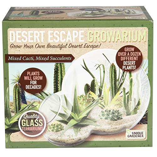 Grow Your Own Desert Escape in A Quality Glass Terrarium Starter Kit with Complete Supplies - Easy to Maintain Indoor Cacti and Succulents - Over A Dozen Desert Plants That Will Last for Years! - style: Desert Escape Growarium