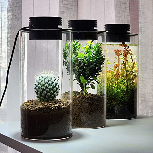 Desktop Glass Plant Terrarium with Grow Light for Carnivorous Plants & Moss | H7.8 x D4 in; Timer Auto On/Off; Miniature Gardening Display; Indoor Plant Decor; Office and Home Use; Gift for Plant Lovers.