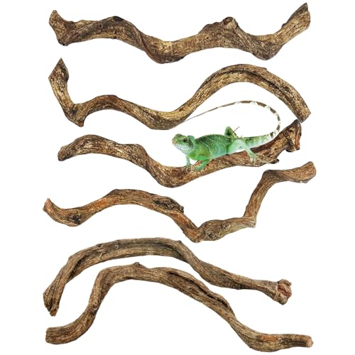 Reptile Branch Decor Snake Climbing Wood Branches Lizard Habitat Decorations Terrarium Natural Forest Tree Trunk Ornament for Bearded Dragon Geckos Chameleon Frog 6 Pcs - S - size: 6 PCS-Diameter: 0.8-1.2 inches