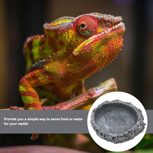 SUPVOX Reptile Food Container and Water Dish Resin Feeder Small Tortoise Feeding Bowl Multi-Function Pet Food Storage Basin for Terrarium Use