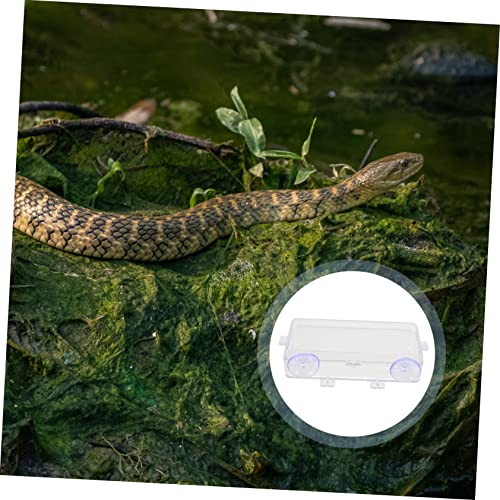 Beavorty 1pc Lizard Feeding Bowl Suction Cup Reptile Feeder Reptiles Reptile Water Bowl Reptile Gecko Feeder Dish Bowl Worm Dish Reptile Bowl Terraium Bowl Gecko Drink Acrylic Suction Basin