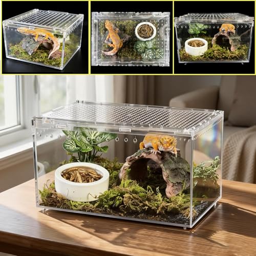 Reptile Terrarium Kit Small Gecko Tank Tarantula Isopods Insect Enclosure | Hermit Crab Tank,Acrylic,Box Packaging,with Moss Bottle Stands Tweezer Thermometer Hideout Food Bowl,for Frog Scorpion