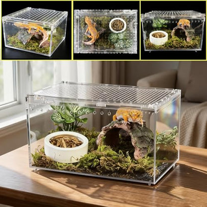 Reptile Terrarium Kit Small Gecko Tank Tarantula Isopods Insect Enclosure | Hermit Crab Tank,Acrylic,Box Packaging,with Moss Bottle Stands Tweezer Thermometer Hideout Food Bowl,for Frog Scorpion