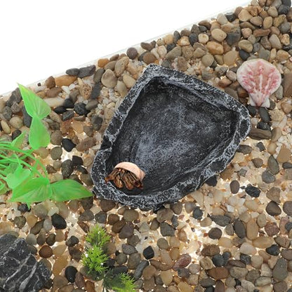 Reptile Food Dish, Resin Lizard Reptile Food Dish, Turtle Water Bowl, Terrarium Feeding Bowl Accessory for Lizard Tortoise Snakes Gecko, Black, 4.72"x3.74"x0.98" - color: Black