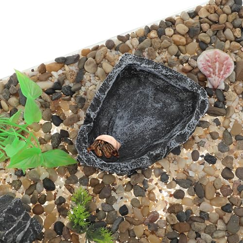Reptile Food Dish, Resin Lizard Reptile Food Dish, Turtle Water Bowl, Terrarium Feeding Bowl Accessory for Lizard Tortoise Snakes Gecko, Black, 4.72"x3.74"x0.98" - color: Black