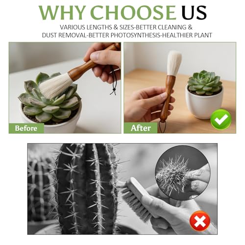 Cactus Plants Cleaning Brushes,Wooden Handles with Goat Hair Bristles,Garden Plant Cleaning Tools,Mild and Soft,Extra-Long Bristles，Three Different Lengths, Suitable for Various Plants and Scenarios.