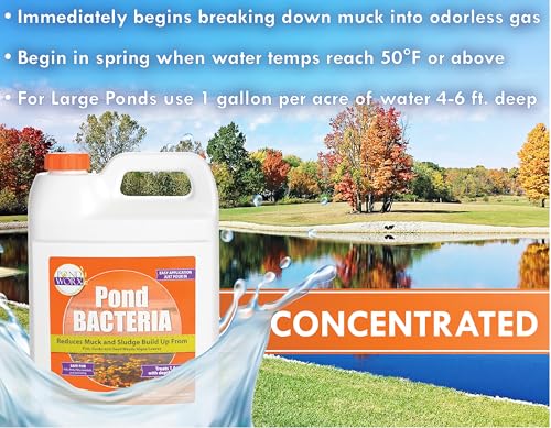 Pondworx Pond Bacteria - Formulated for Water Features and Safe for Koi (4 Gallon Value Pack) - size: 4 Gallon Value Pack