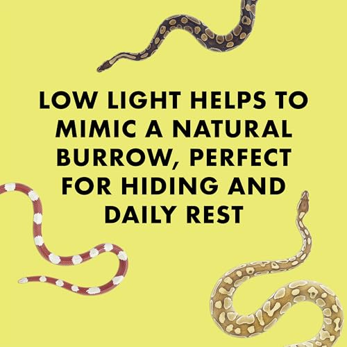 Zilla Rock Lair, Naturalistic Hide, Supports Shedding and Egg-Laying, Retains Humidity, Ideal for Snakes and Lizard, Medium - size: Medium