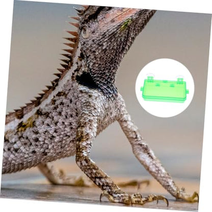 HANABASS Reptile Feeding Dish Bowl with Suction Cup Dual-Purpose Food and Water Container for Chameleons Geckos Bearded Dragons and Lizards Escape Prevention Design Sturdy Material Green - color: Light Green, size: 13.50X6.50X3.50CM