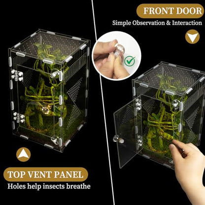 Acrylic Jumping Spider Habitat, Reptile Terrarium Easy Assembly, Bug Enclosure, Praying Mantis Habitat, Frog Enclosure, 9.8 * 5.9 * 5.9in - size: M-9.8*5.9*5.9in-Upgrade