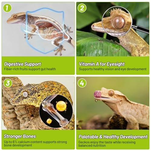 Gecko Food, Fruit Mix Insects Gecko Diet with Banana 2 oz