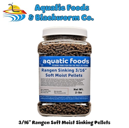 3/16" Soft Moist Sinking Salmon Pellets for Adult Axolotls, Shrimp, Snails, Crabs, Small Amphibians, Bottom Tropical Fish...2-lb Med Jar - size: 2 Pound (Pack of 1)