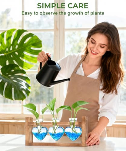 Plant Terrarium with Wooden Stand, 3 Heart Bulb Glass Vases | Wooden Stand Tabletop for Air Planter, Gifts for Mom Plant Lovers Mom Women Wife Grandma - color: Transparent