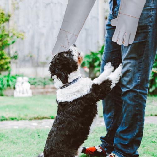 SOLUSTRE 1 Pair Leather Pet Anti-bite Gloves Fire Resistant Oil Resistant Protection Gloves for Hand and Forearm Outdoor Pet Handling