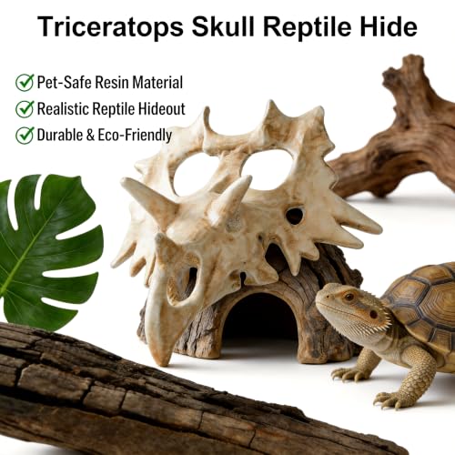 Triceratops Skull Reptile Hide for Bearded Dragons, Dinosaur Skull Terrarium Decor, Resin Cave Hideout for Lizards Snakes, Aquarium Tank Decoration (Medium) - size: Medium