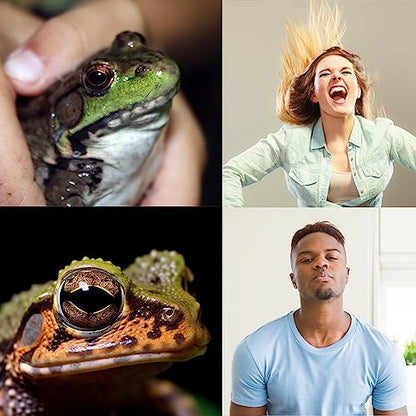 Critter Keeper Ant Farm Cane Toad Trap Little Live Pets Bug Catcher Kit for Kids Frog Habitat Turtle Tank Reptile Terrariums Lizard Cage Fish Bowl Beach Aquarium Catch and Release - size: 2