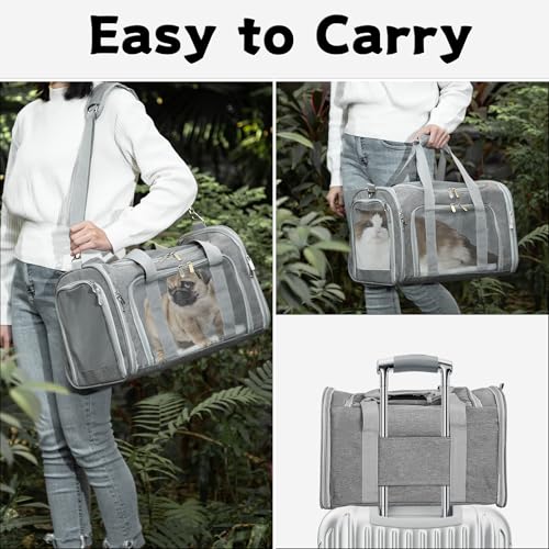 Soft-Sided Cat/Dog/Pet Carrier, Collapsible Pets Travel Carriers | for Big Cats/Small Dogs with Shoulder Strap & Removable Mat, Mesh Puppy Carry Bag, Up to 16 Lbs, TSA Airline Approved(Gray) - color: GRAY, size: 17"L x 11"W x 11"H