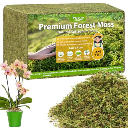 3.3LB Sphagnum Moss for Plants, 60QT Natural Long Fiber Orchid Moss | Drainage & Moisture Retention, Green Plant Moss for Orchid Repotting, Carnivorous, Succulents, Reptile Bedding & Terrariums - size: 3.3LB