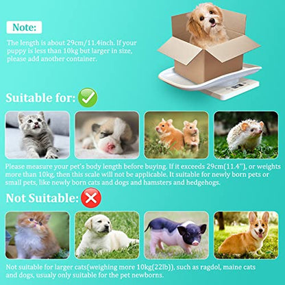 Digital Mini Pet Scale, LCD Electronic Weighing Scale with Tray, Max.33 lbs | Portable Small Animal Weight Scale, Multifunction Kitchen Scale for Food/Puppy/Kitten/Lizard/Hamster/Tortoise/Whelping