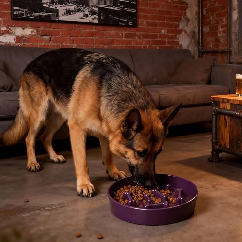 Ceramic Slow Feeder Dog Bowls, Ceramic Slow Feeder Maze Dog Food Bowl, Slow Eating Dog Bowl and Slow Feeder Dog Bowl Anti-Choking for Daily Pet Feeding （Purple Bone） - color: Purple Bone